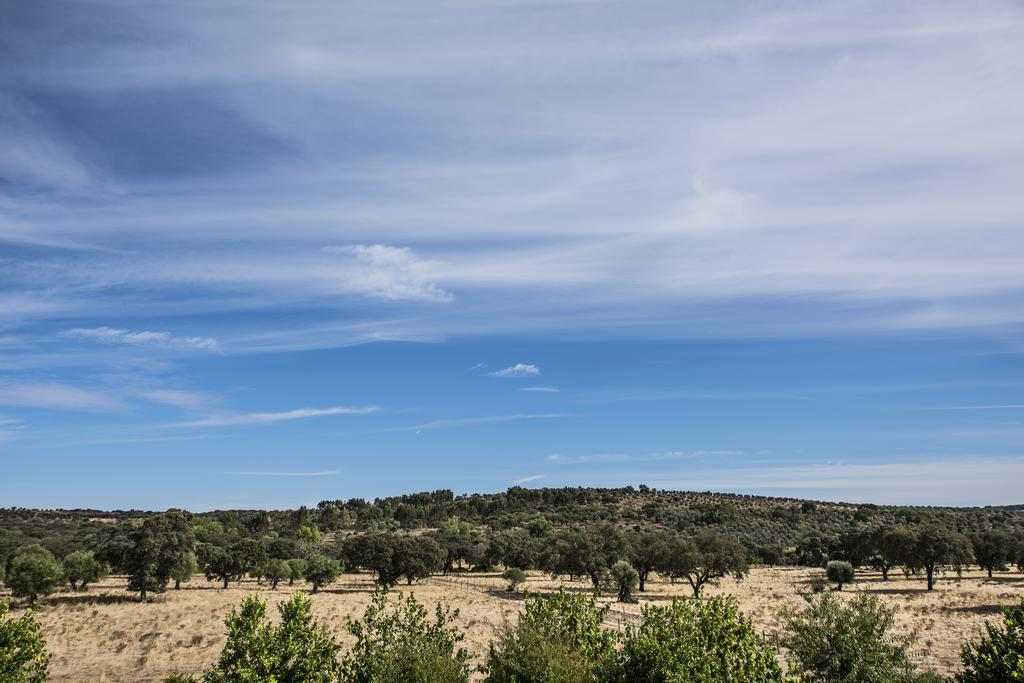Herdade Dos Alfanges "The Barn" Viana do Alentejo Esterno foto